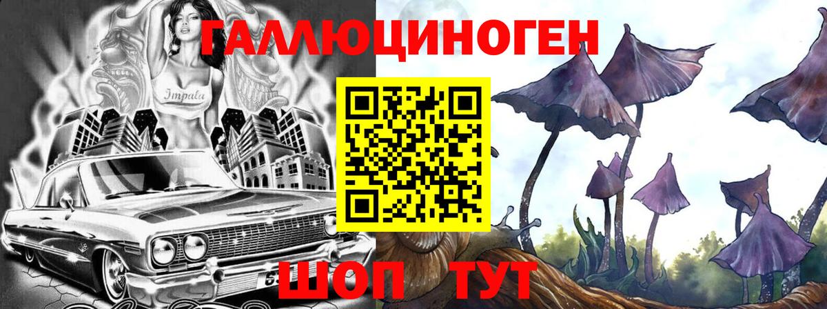 Сафоново  Псилоцибиновые грибы мухоморы  Псилоцибиновые грибы прущие грибы  Вход с VPN 