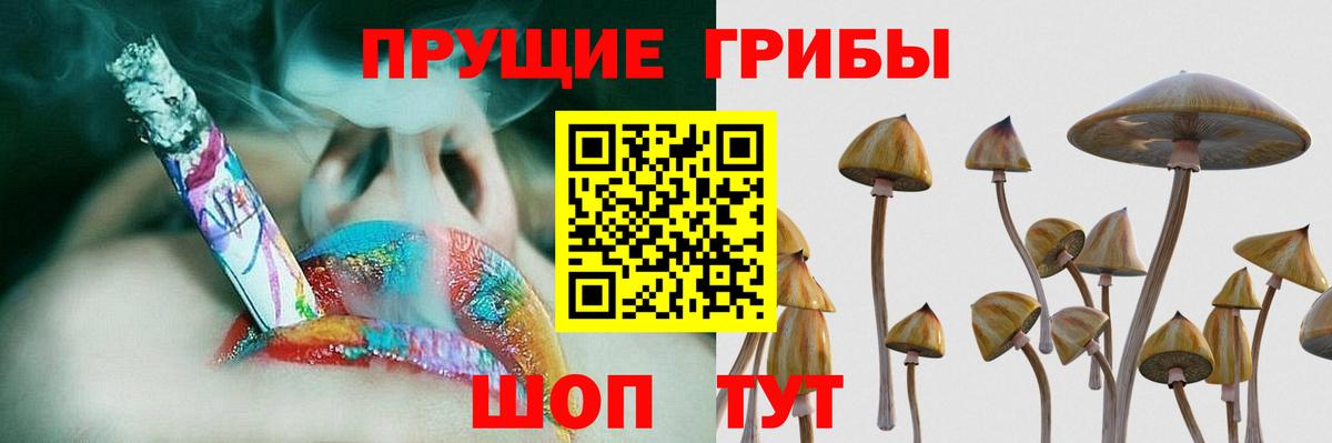 Галлюциногенные грибы MAGIC MUSHROOMS Сафоново